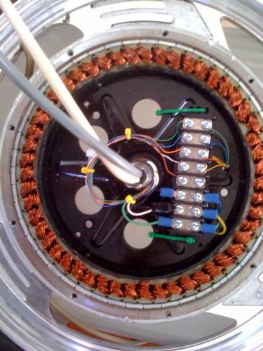 inside rewired motor.jpg