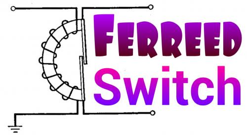 Ferreed Switch.jpg